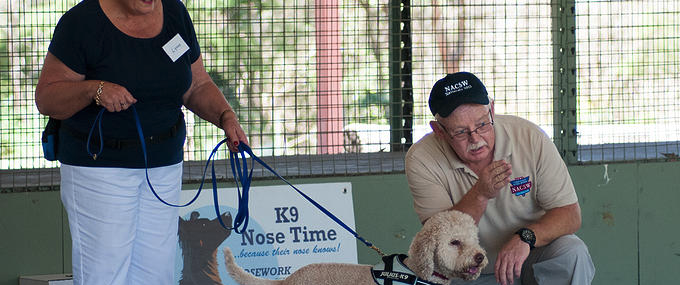 Screen Shot 2015-11-30 at 4.28.49 PM