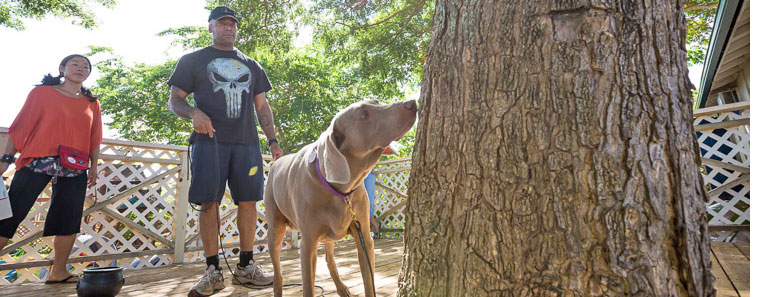 _55A7816_banner